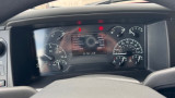 IMG 7601
